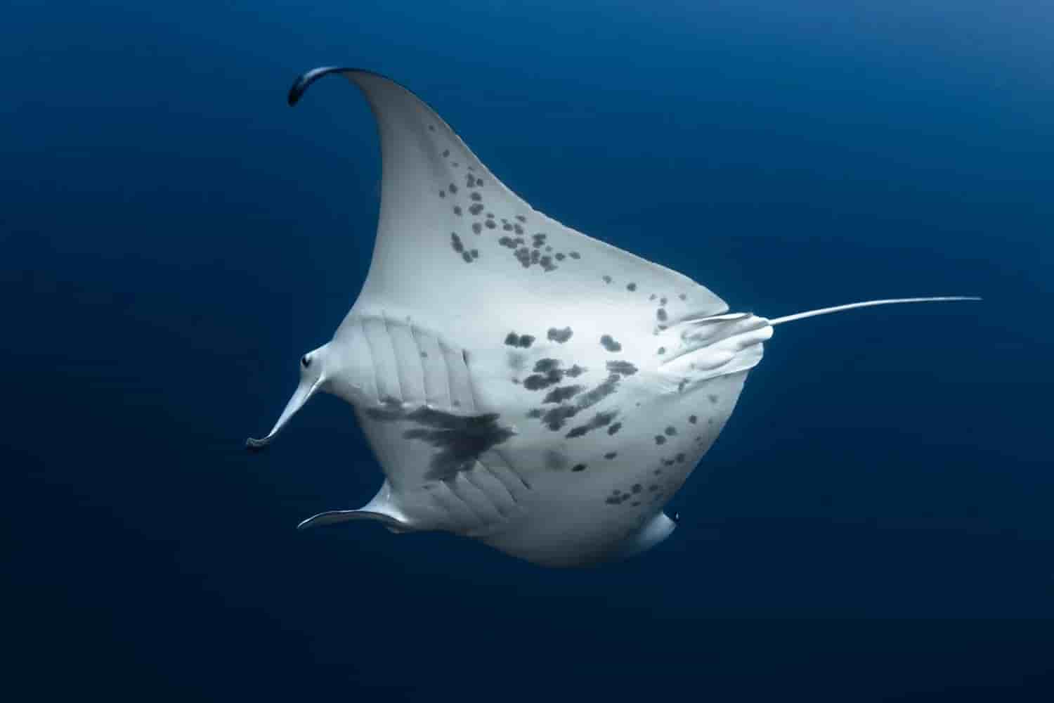 Thumbnail 26 Thumbnail 26