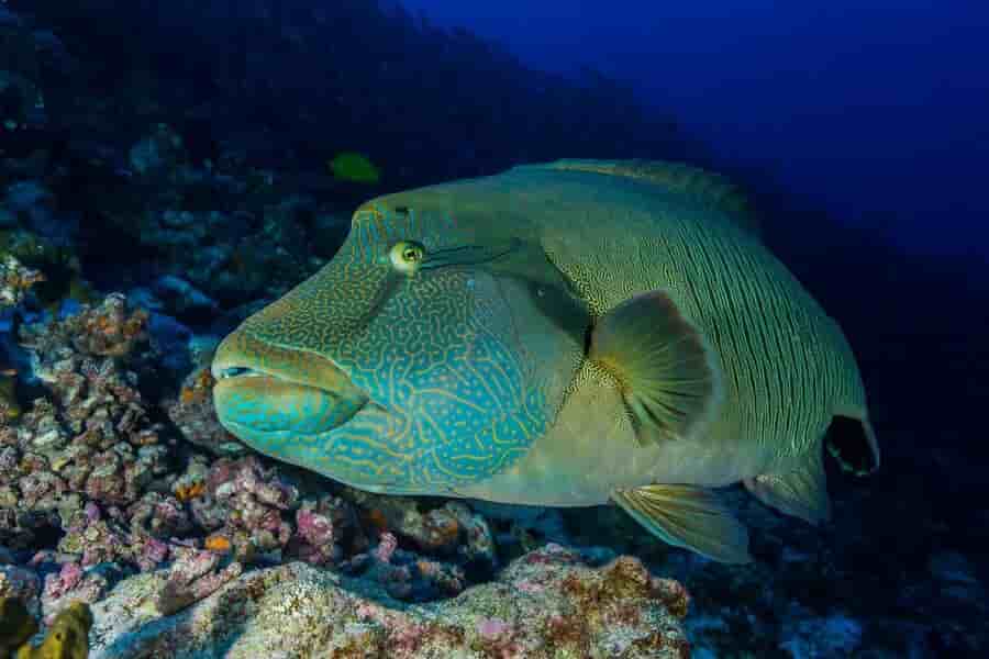 Thumbnail 27 Thumbnail 27