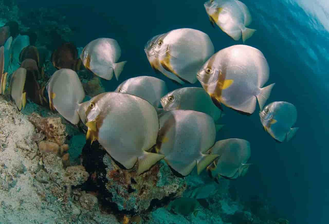 Thumbnail 14 Thumbnail 14