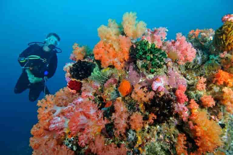 Thumbnail 9 Thumbnail 9