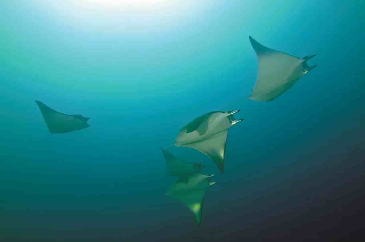 Thumbnail 10 Thumbnail 10