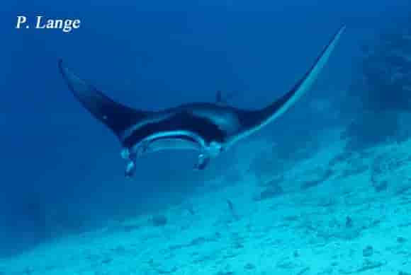 Thumbnail 4 Thumbnail 4