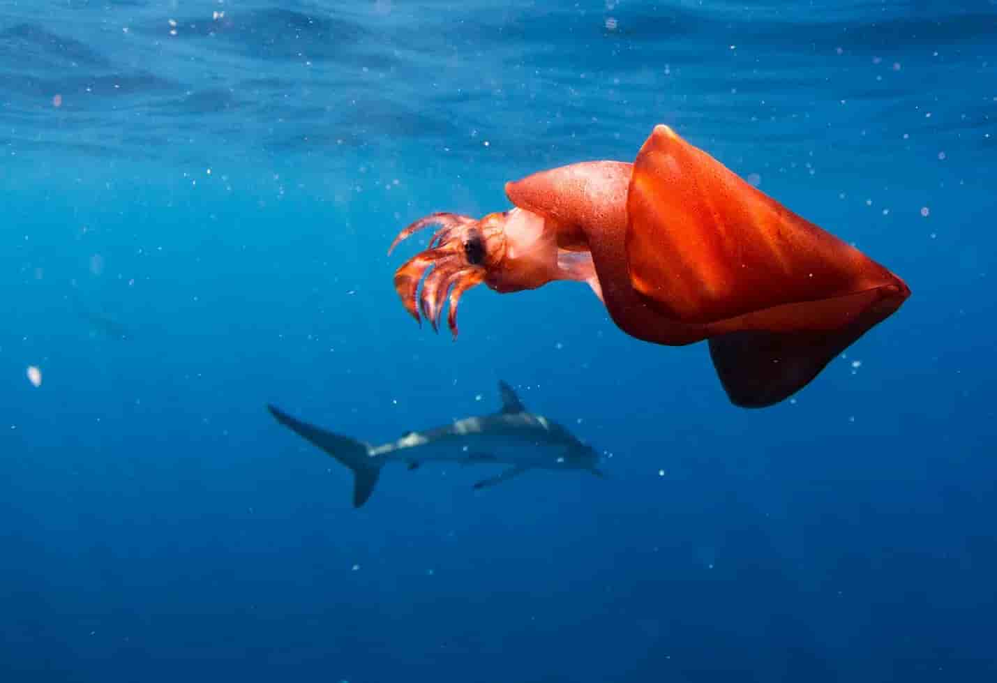 Thumbnail 2 Thumbnail 2