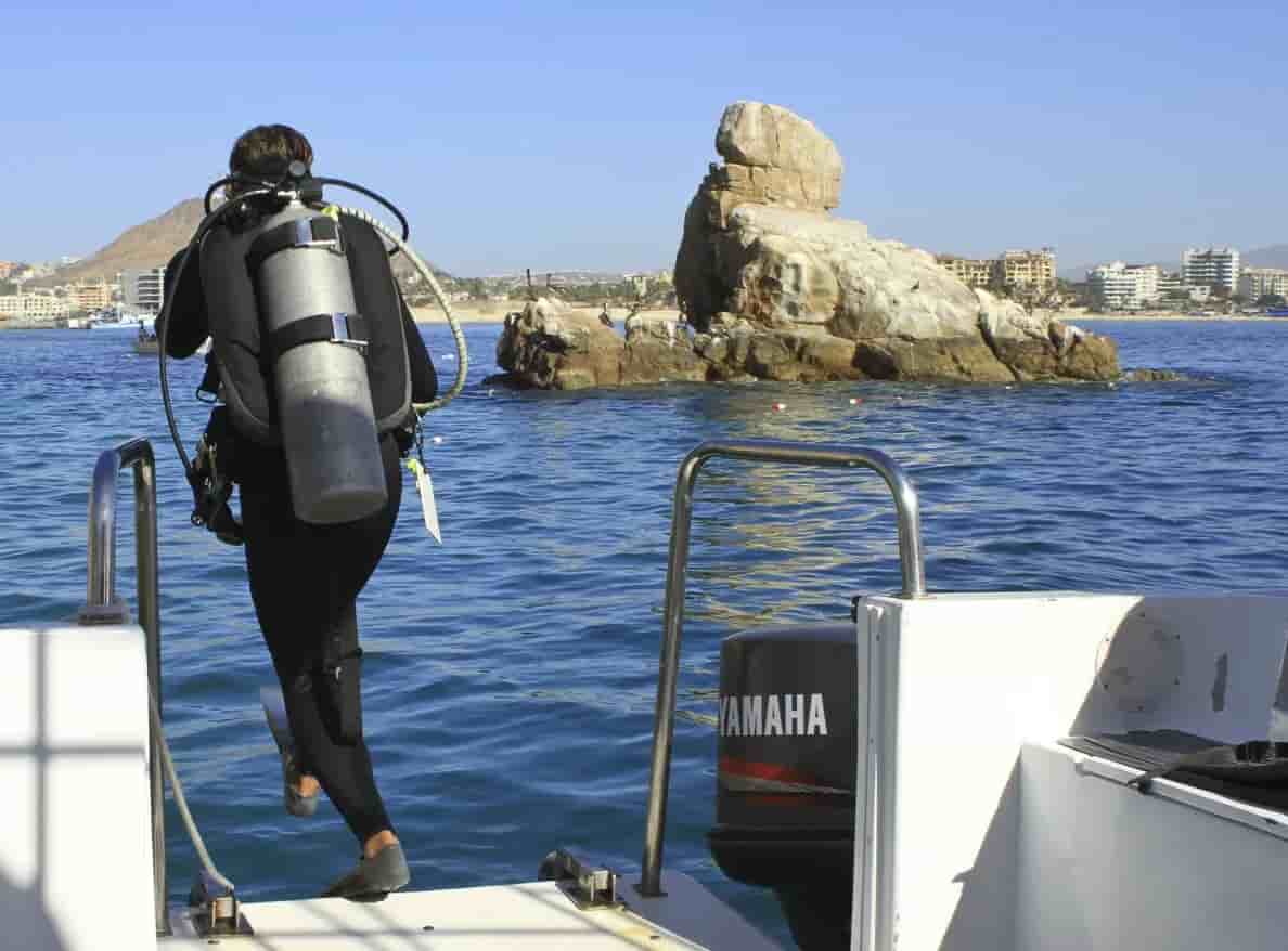 Thumbnail 2 Thumbnail 2