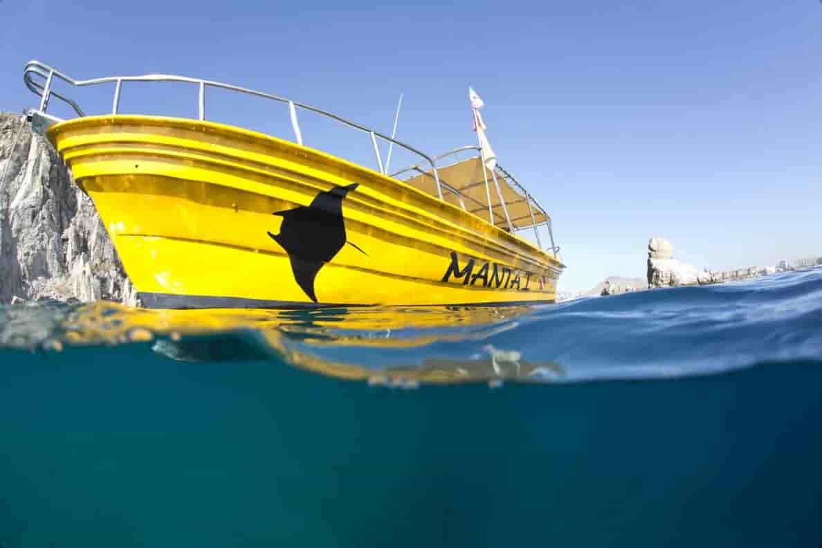 Thumbnail 4 Thumbnail 4