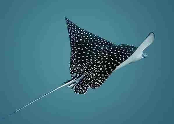 Thumbnail 7 Thumbnail 7