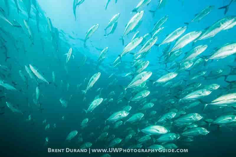 Thumbnail 8 Thumbnail 8