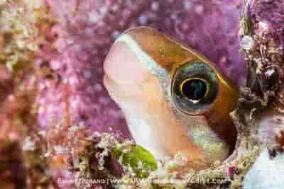 Thumbnail 9 Thumbnail 9