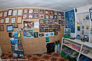 Dive St. Vincent - image Dive St. Vincent - image