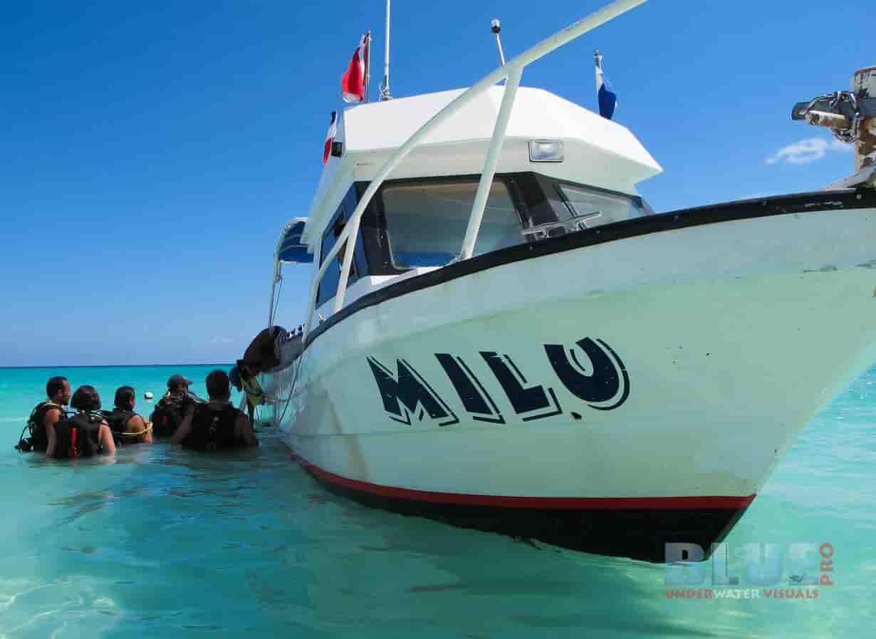 Thumbnail 1 Thumbnail 1