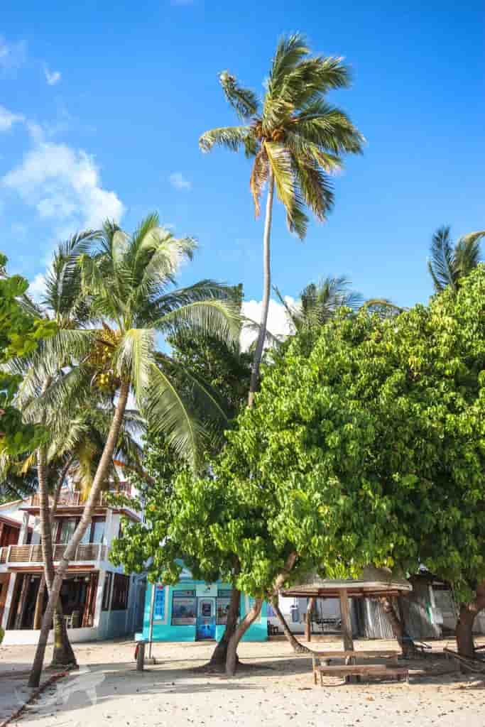 Thumbnail 3 Thumbnail 3