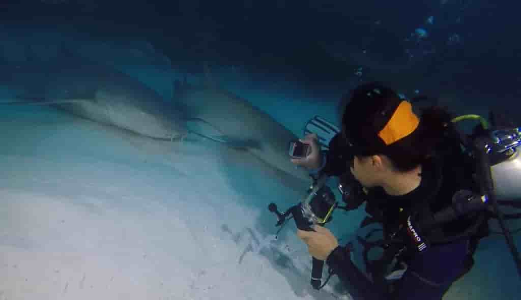 Thumbnail 8 Thumbnail 8