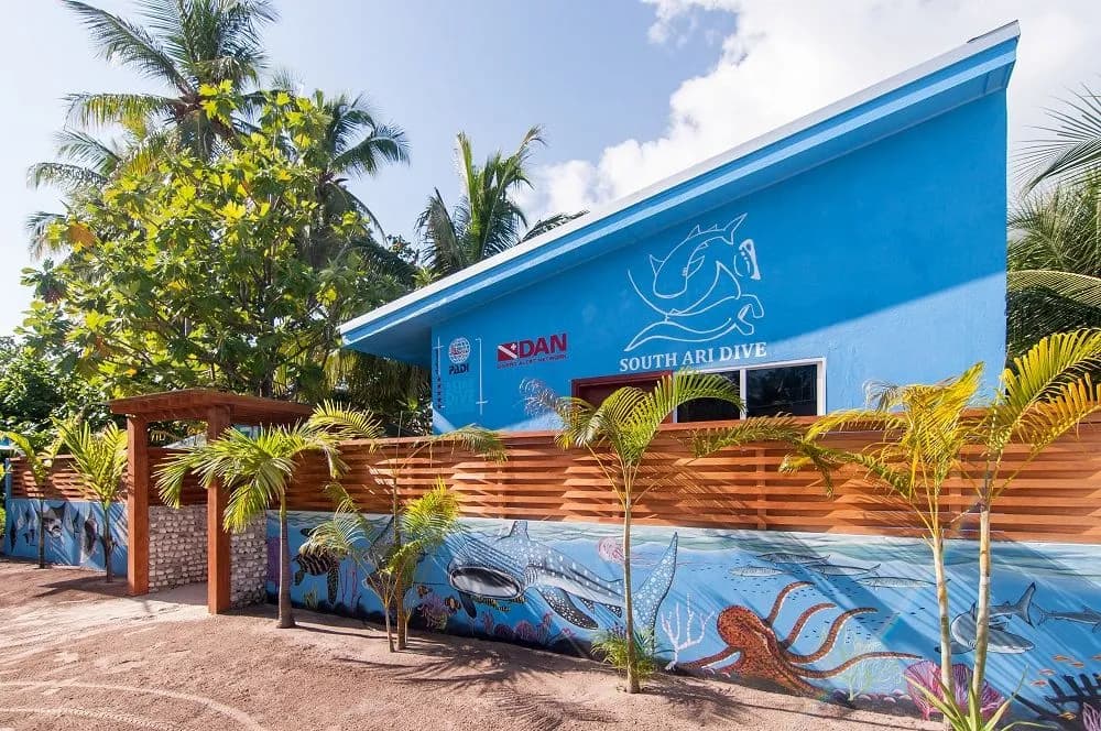 South Ari Dive Center - image South Ari Dive Center - image