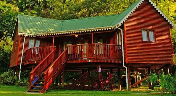 Sardine Run South Africa - image Sardine Run South Africa - image