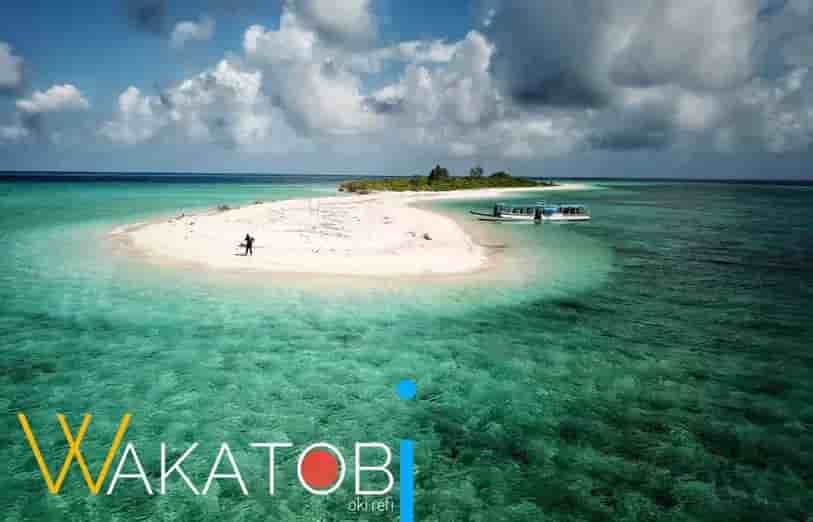 Thumbnail 4 Thumbnail 4