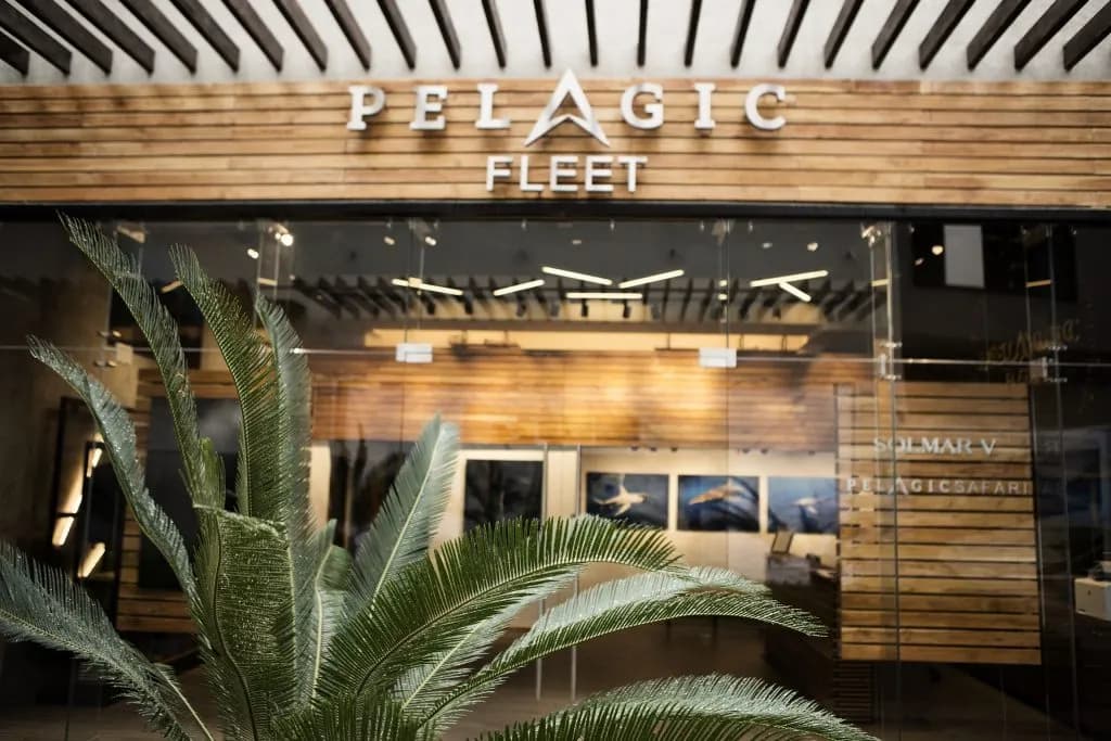 Pacific Safari - Cabo - image Pacific Safari - Cabo - image