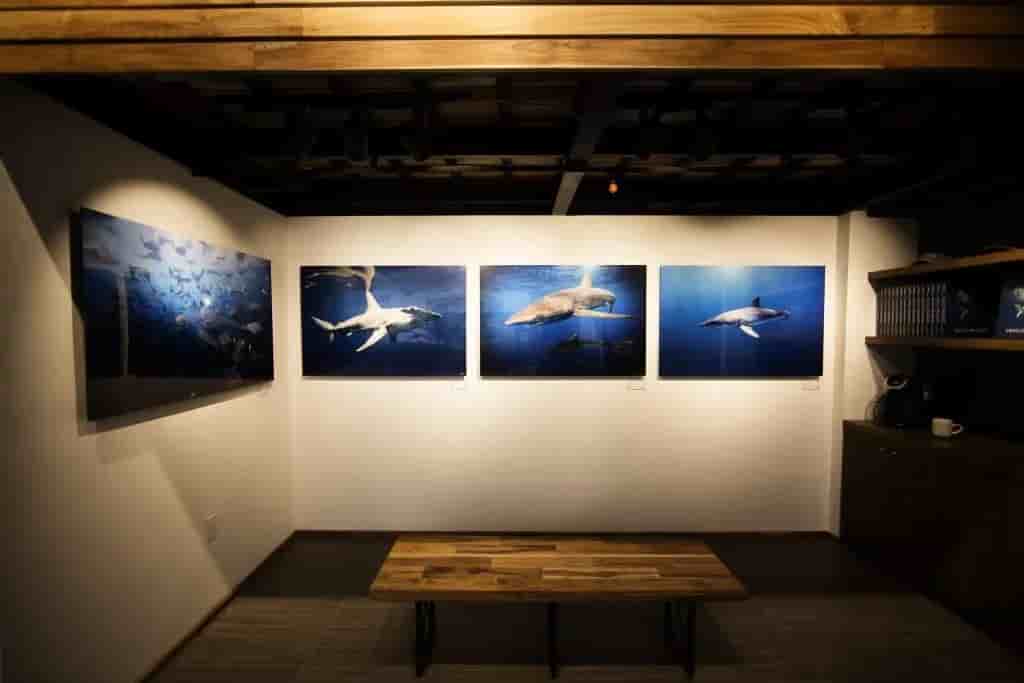 Thumbnail 2 Thumbnail 2