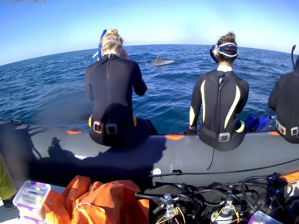 ScubaCo Diving & Travel - image ScubaCo Diving & Travel - image