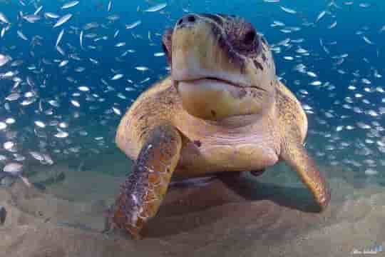 Thumbnail 12 Thumbnail 12