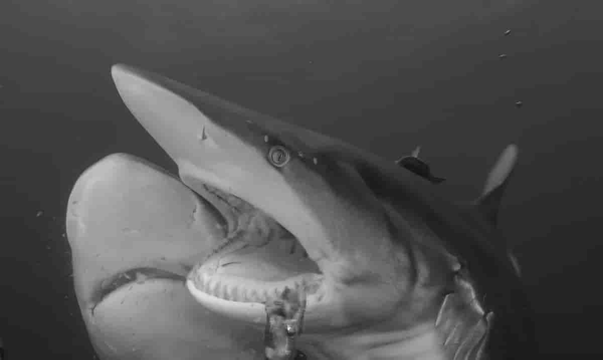 Thumbnail 14 Thumbnail 14