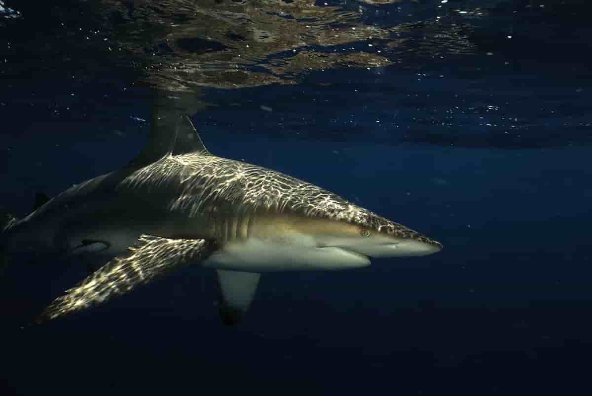 Thumbnail 15 Thumbnail 15