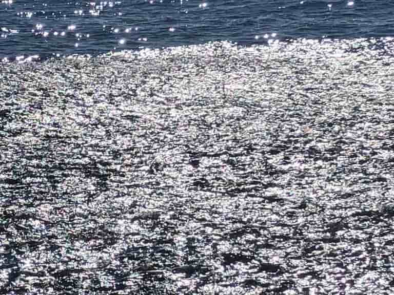 Thumbnail 5 Thumbnail 5