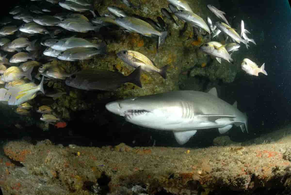 Thumbnail 18 Thumbnail 18