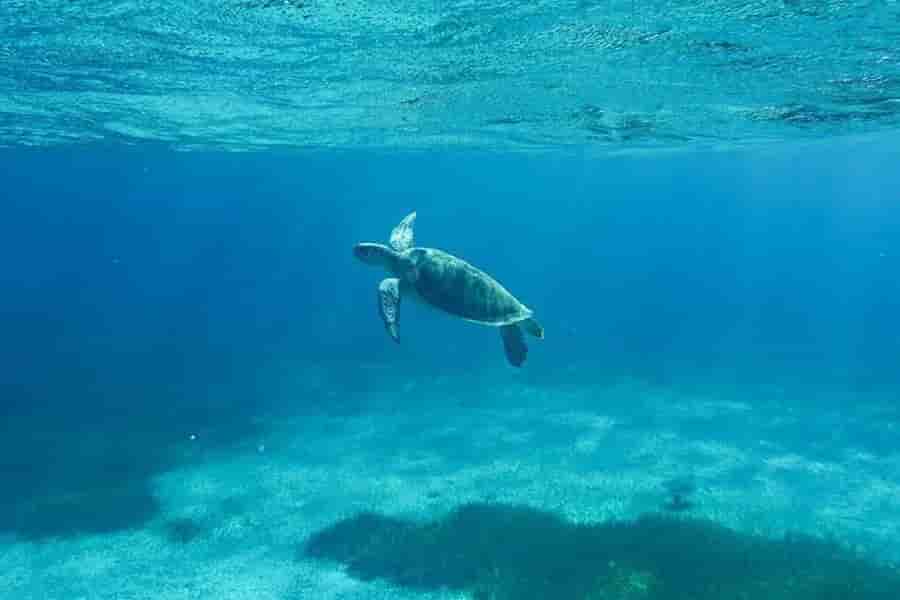 Thumbnail 1 Thumbnail 1