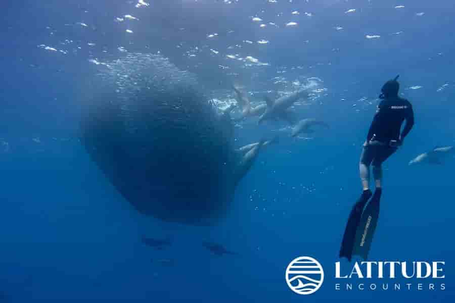 Thumbnail 3 Thumbnail 3