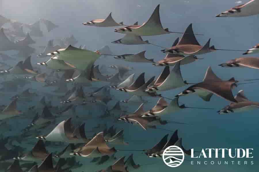 Thumbnail 5 Thumbnail 5