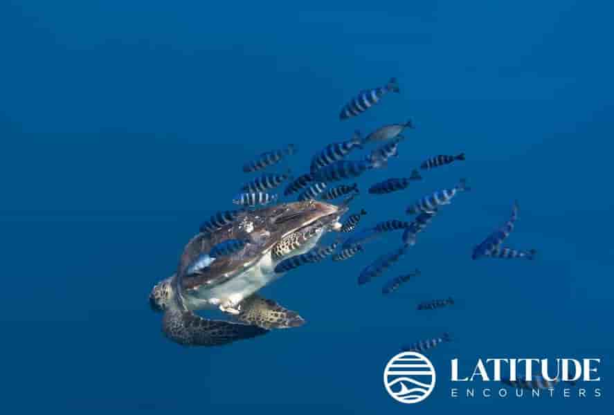 Thumbnail 7 Thumbnail 7