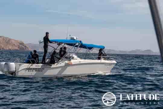 Thumbnail 11 Thumbnail 11