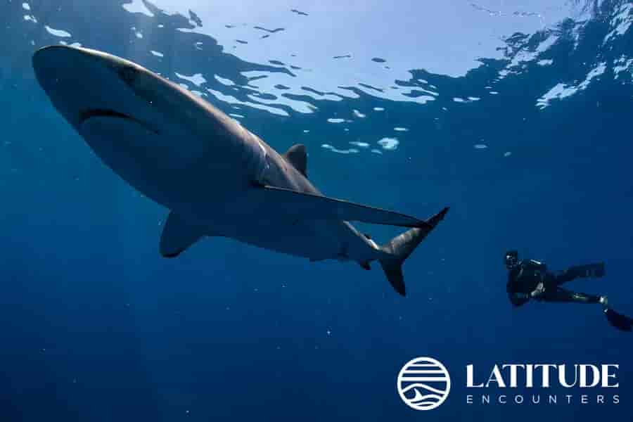 Thumbnail 12 Thumbnail 12