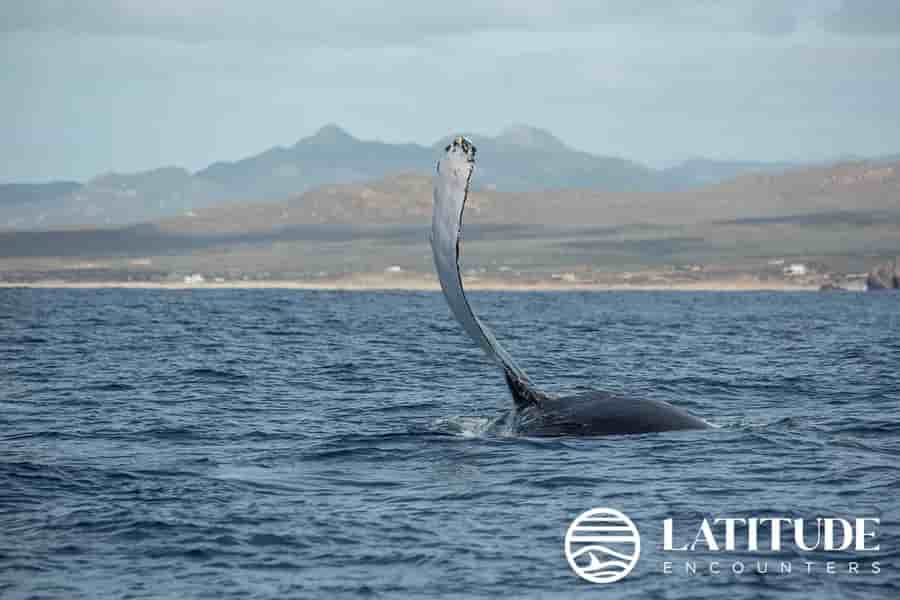 Thumbnail 14 Thumbnail 14