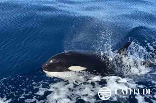 Thumbnail 18 Thumbnail 18