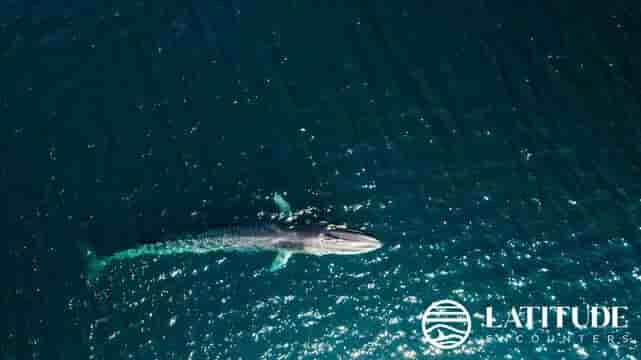 Thumbnail 20 Thumbnail 20