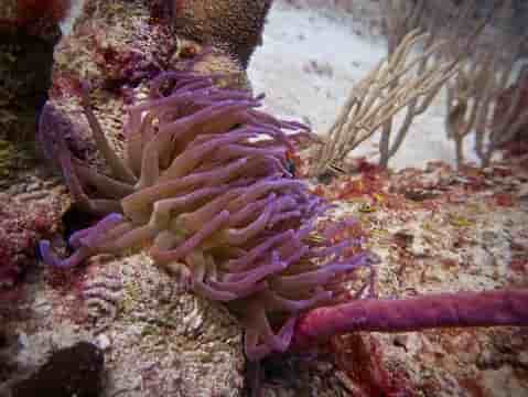 Thumbnail 4 Thumbnail 4