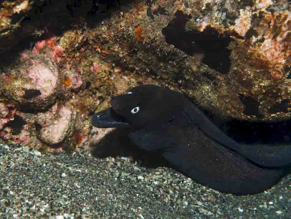 Thumbnail 11 Thumbnail 11