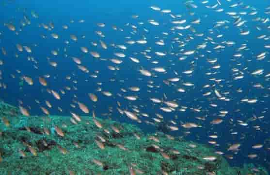 Thumbnail 7 Thumbnail 7