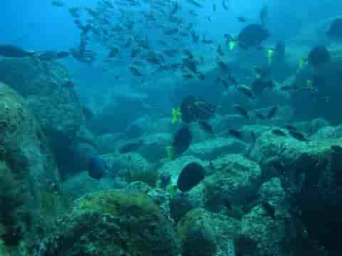 Thumbnail 9 Thumbnail 9