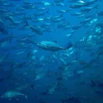 Thumbnail 11 Thumbnail 11