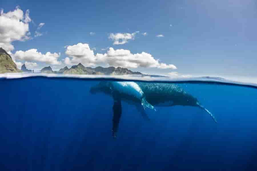 Thumbnail 3 Thumbnail 3