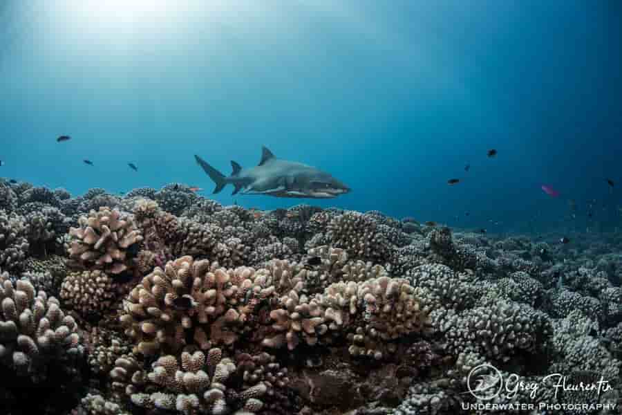 Thumbnail 4 Thumbnail 4