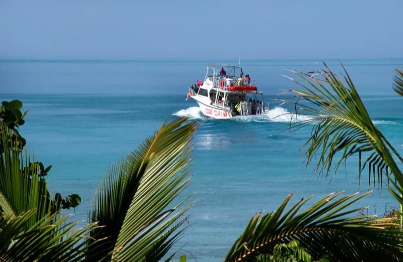 Stuart Cove's Dive Bahamas - image Stuart Cove's Dive Bahamas - image