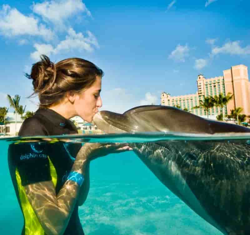 Thumbnail 6 Thumbnail 6