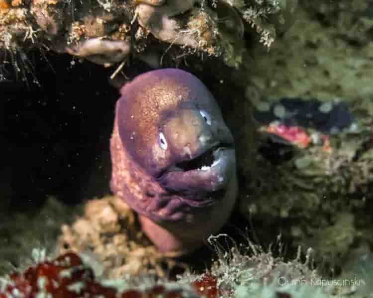 Thumbnail 8 Thumbnail 8