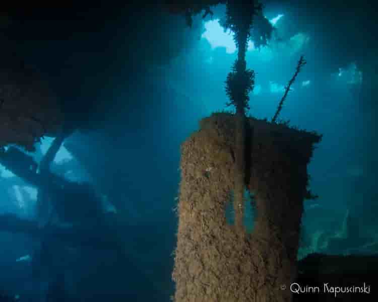 Thumbnail 9 Thumbnail 9