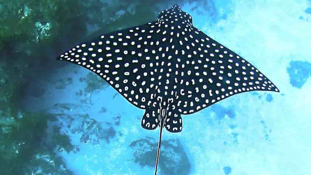 Thumbnail 3 Thumbnail 3