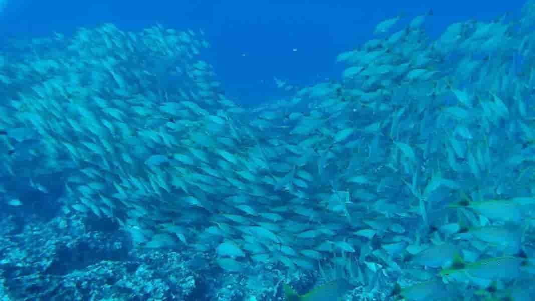 Thumbnail 4 Thumbnail 4