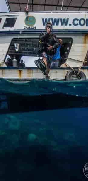 Thumbnail 1 Thumbnail 1